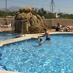 Primavera Loix Aparthotel